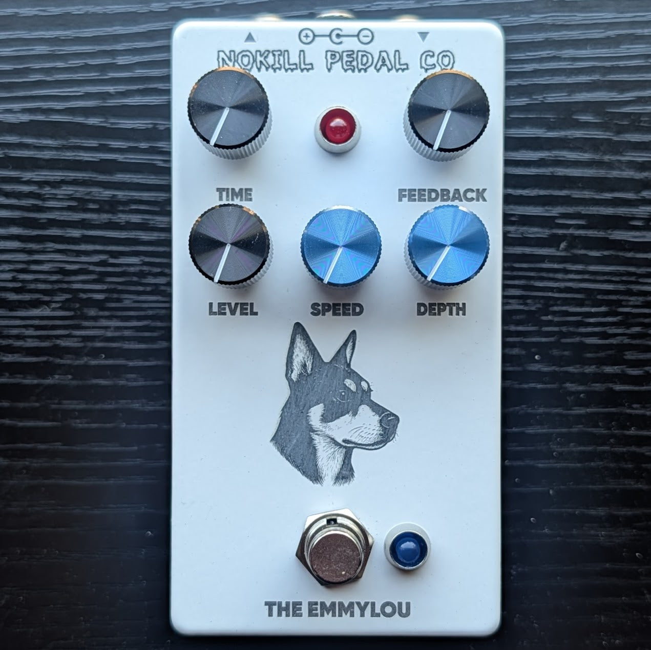 The Canine Chaos Society — The Emmylou